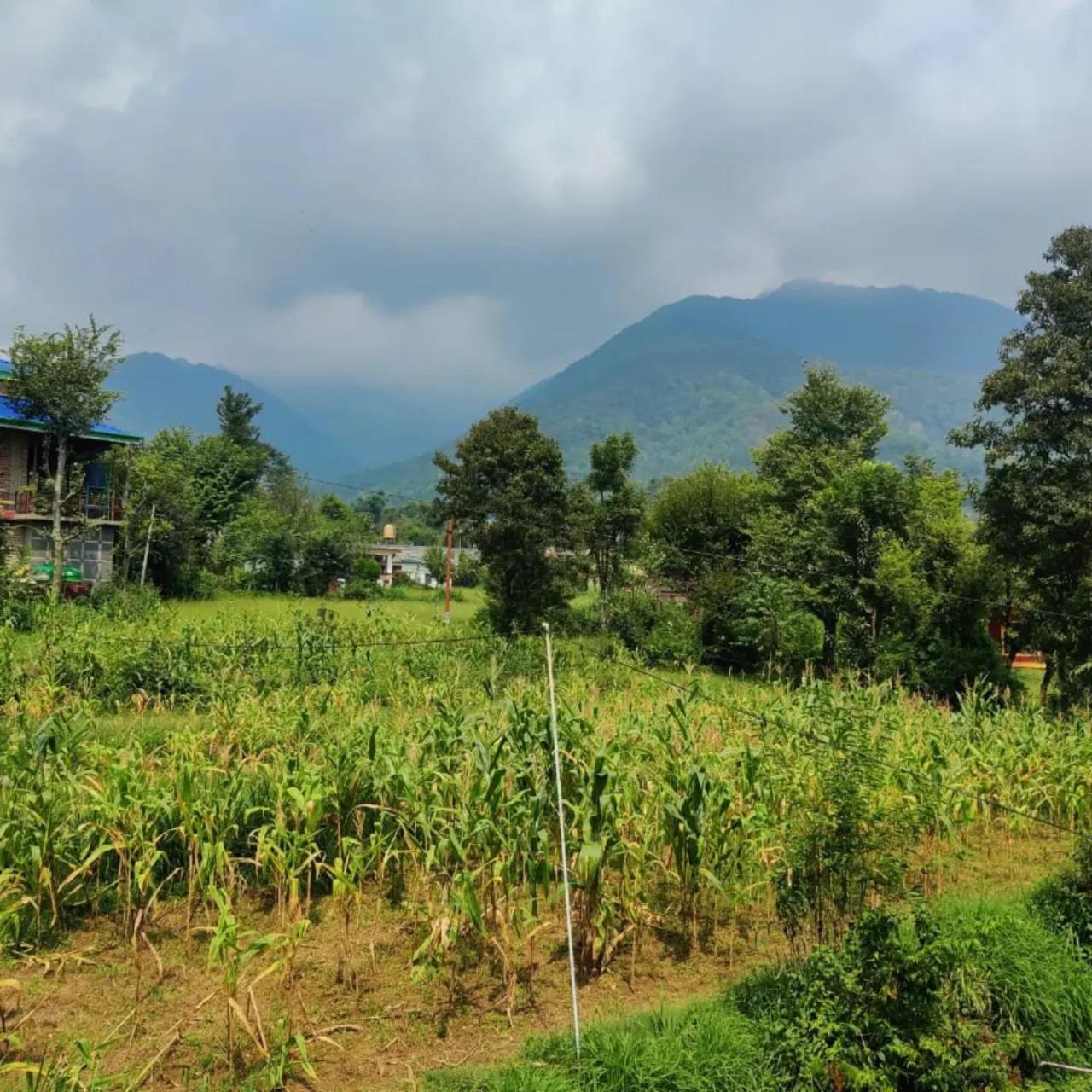 Aditya Homestay Bir-Billing Surrounded By Mountains Exteriör bild