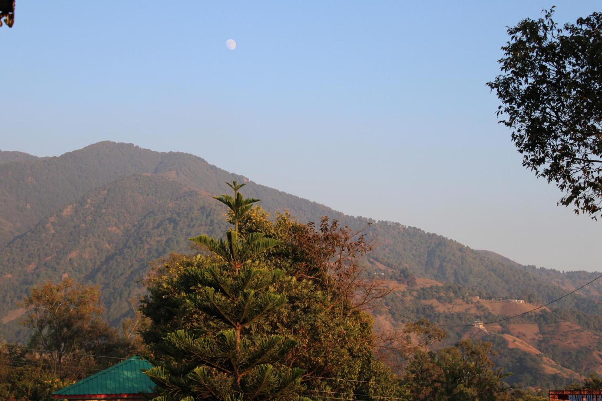 Aditya Homestay Bir-Billing Surrounded By Mountains Exteriör bild